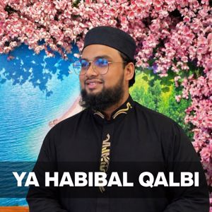 Raihan Siddiquee: Ya Habibal Qalbi (Speed Up)