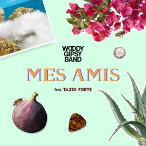 Woody Gipsy Band feat. Tazio Forte: Mes amis