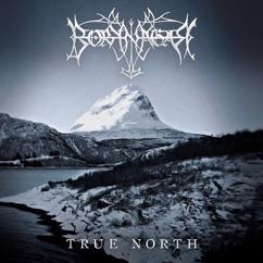Borknagar: The Fire that Burns