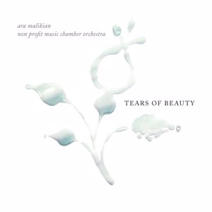 Ara Malikian: Tears of beauty