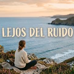 miguel malito: Lejos del ruido