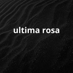 mc puto: ultima rosa