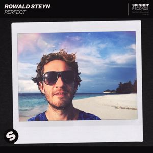 Rowald Steyn: Perfect (Extended Mix)