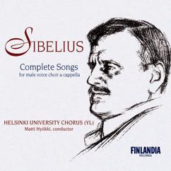 Ylioppilaskunnan Laulajat - YL Male Voice Choir: Sibelius: "Ute hörs stormen"