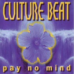 Culture Beat: Pay No Mind (Acoustic String Version)