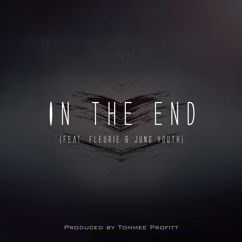 Tommee Profitt: In The End (Instrumental) (In The End)