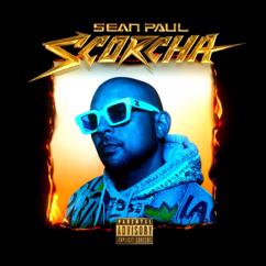 Sean Paul: Back It Up Deh (Remix)