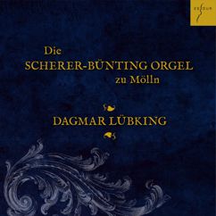 Dagmar Lübking: Die Scherer-Bünting-Orgel zu Mölln