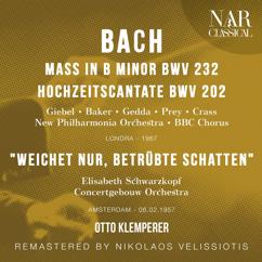 Concertgebouw Orchestra, Otto Klemperer, Elisabeth Schwarzkopf: Hochzeitscantata "Weichet Nur, Betrübte Schatten" in G Major, BWV 202, IJB 692: IX. Aria: Sehet In Zufriedeheit Tausend Hell Wohlfahrtstage Daß Bald Bei Der Folgezeit Eure Liebe Blumen Trage