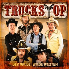Truck Stop: Geiger in der Country Band