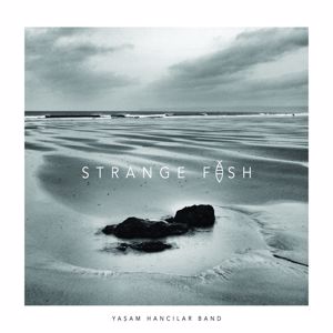 Yasam Hancilar Band: Strange Fish