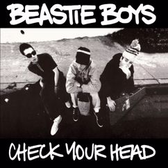 Beastie Boys: Dub The Mic (Instrumental) (Dub The Mic)