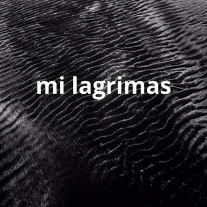 mc puto: mil lagrimas