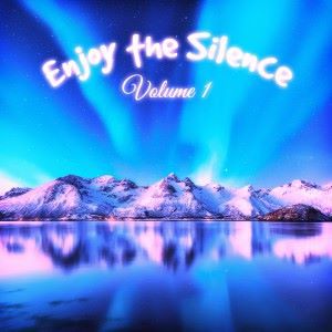 Various Artists: Enjoy the Silence, Vol. 1