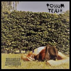 Possum Trash: Hillbilly Mysteries