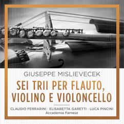 Accademia Farnese, Claudio Ferrarini, Elisabetta Garetti, Luca Pincini: Trio No 4