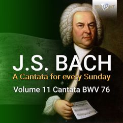 Netherlands Bach Collegium & Pieter Jan Leusink: Die Himmel erzählen die Ehre Gottes, BWV 76, Seconda Parte: VIII. Sinfonia
