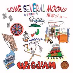 Wigwam: Some Several Moons