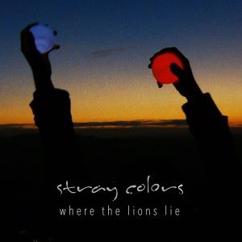 Stray Colors: Where the Lions Lie