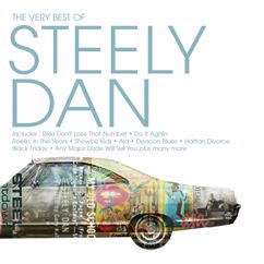 Steely Dan: Rikki Don't Lose That Number