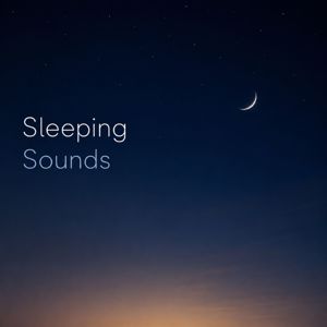 Nox Z: Sleeping Sounds