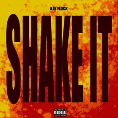 Kay Flock: Shake It (Instrumental) (Shake It)