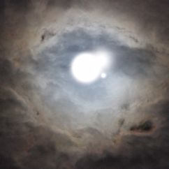 март1964: Изгой