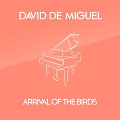 David de Miguel: Arrival Of The Birds
