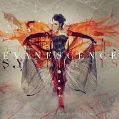Evanescence: My Heart Is Broken