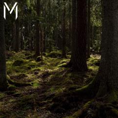 Malachi Baca: FOREST