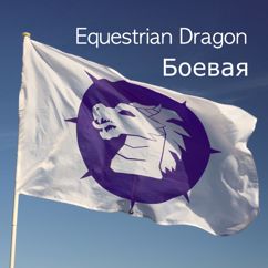 Equestrian Dragon: Боевая