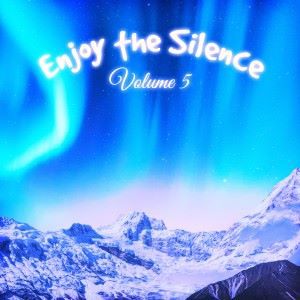 Various Artists: Enjoy the Silence, Vol. 5