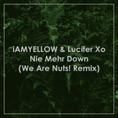 LUCIFER XO, FCKSHT, iAMYELLOW: Nie mehr down (We Are Nuts! Remix)