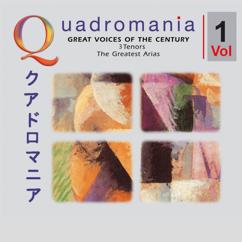 Enrico Caruso, Francesco Tamagno & Tito Schipa: Puccini & Verdi & Donizetti: Great Voices of the Century - 16 Tenors. The Greatest Arias Vol. 1