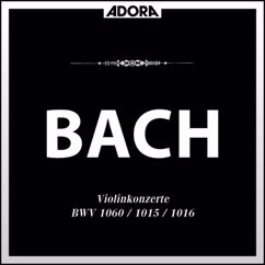 Philharmonisches Kammerorchester, Hans Kalafusz, Willi Schnell: Konzert für Violine und Oboe in C Minor, BWV 1060: I. Allegro