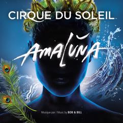 Cirque du Soleil: Hope