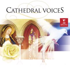 Winchester Cathedral Choir, David Hill: Barber: Agnus Dei (After Adagio for Strings, Op. 11)