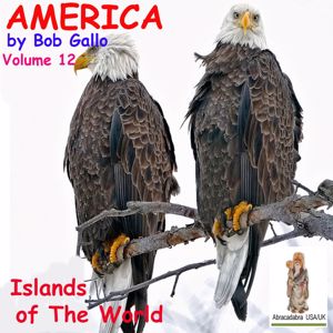 Bob Gallo: America, Vol. 12. Islands of the World