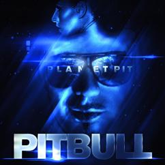 Pitbull: Something For The DJs