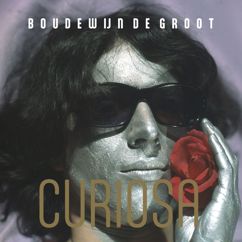 Boudewijn de Groot: Waterdrager