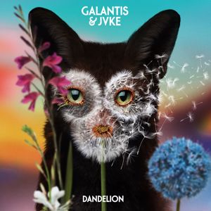 Galantis & JVKE: Dandelion