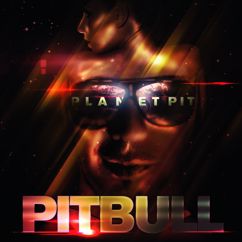 Pitbull: Something For The DJs