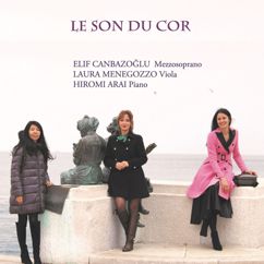 Laura Menegozzo, Hiromi Arai & Elif Canbazoğlu: 3 Lieder, Op. 3a: II. Wonne der Wehmut