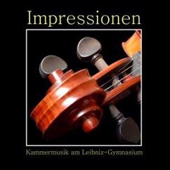 Kammermusik am Leibniz-Gymnasium & Carmen Ahrens: Violin Concerto in F Minor, RV 297: I. Allegro non molto