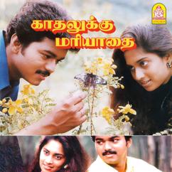 Ilaiyaraaja & Palani Bharathi: Kadhalukku Mariyadhai (Original Motion Picture Soundtrack)