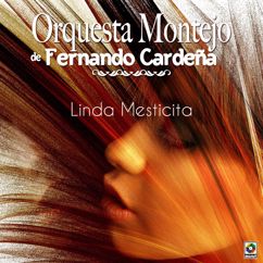 Orquesta Montejo De Fernando Cardeña: Hilda Noemi