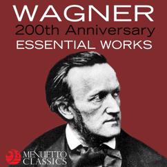 Innsbruck Symphony Orchestra, Maura Moreira, Robert Wagner: Wesendonck-Lieder, WWV 91: I. Der Engel
