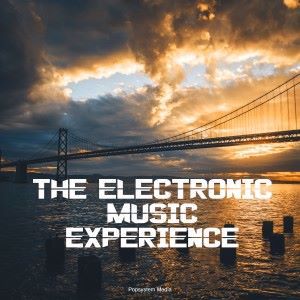 Various Artists: The Electronic Music Experience