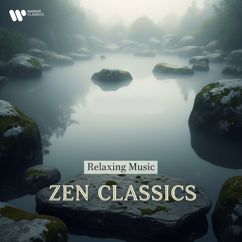 Ian Watson, English Chamber Orchestra: Albinoni: Adagio for Strings and Organ in G Minor (Excerpt)