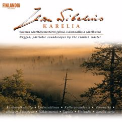 Eero Heinonen: Sibelius: 5 Esquisses, Op. 114: II. Winter Scene